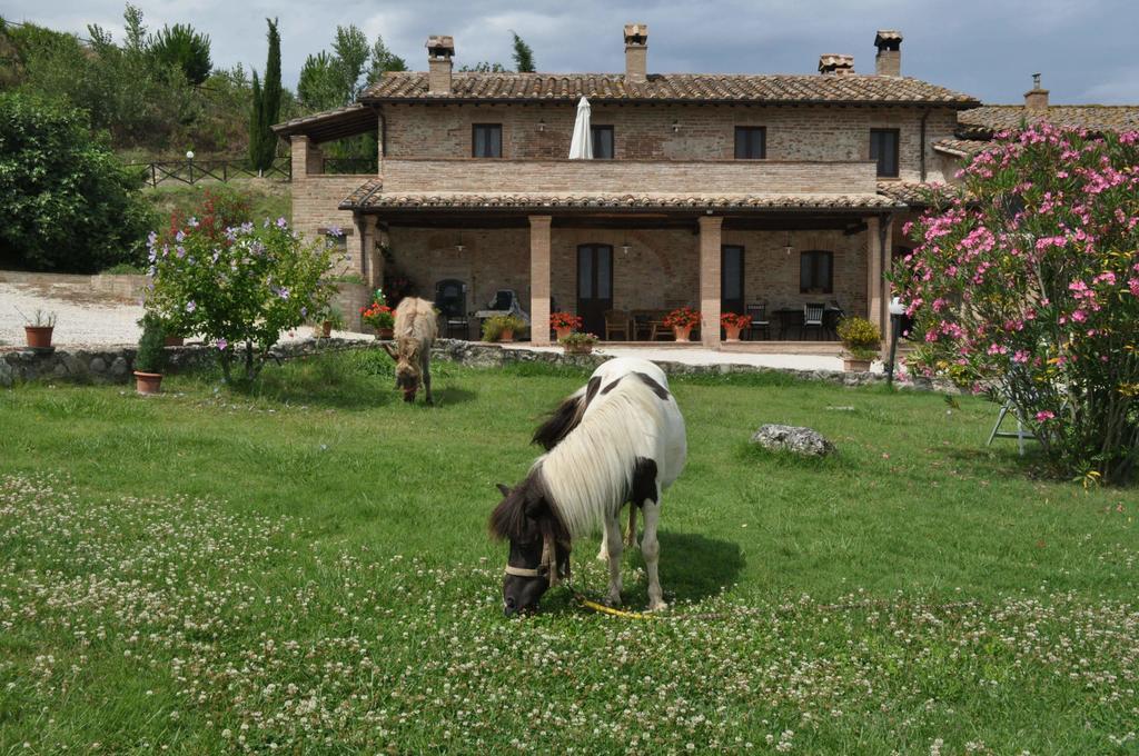 Farm Stay Il Carro Del Colle Collevalenza Εξωτερικό φωτογραφία