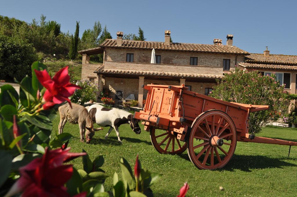 Farm Stay Il Carro Del Colle Collevalenza Εξωτερικό φωτογραφία