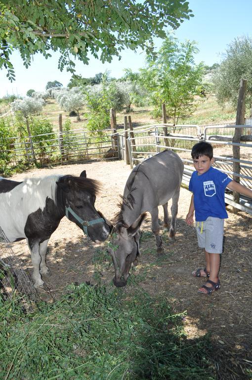 Farm Stay Il Carro Del Colle Collevalenza Εξωτερικό φωτογραφία