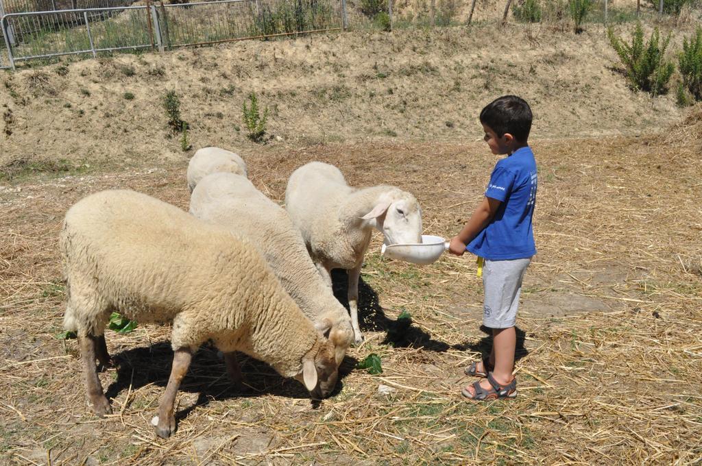 Farm Stay Il Carro Del Colle Collevalenza Εξωτερικό φωτογραφία